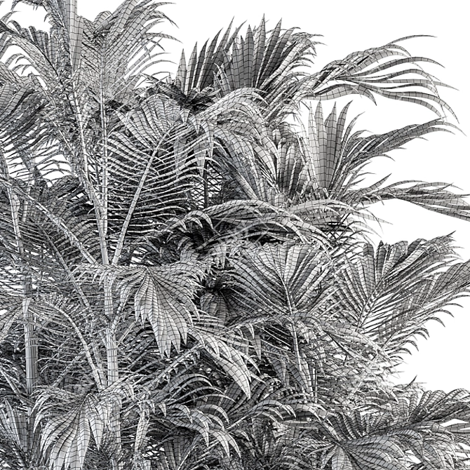 Exotic Outdoor Plant Set 3D model image 5