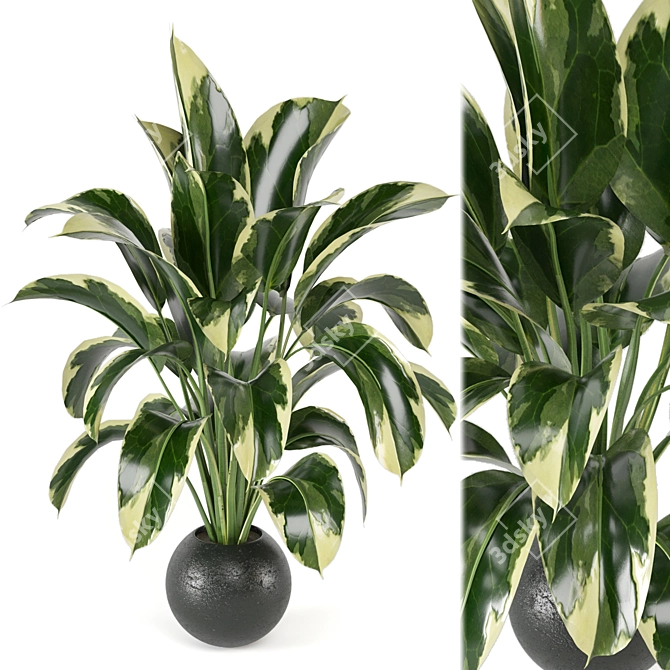 Lush Indoor Plants Set 126 3D model image 1