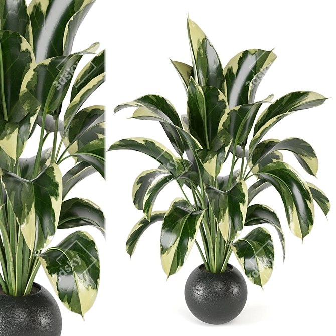 Lush Indoor Plants Set 126 3D model image 2