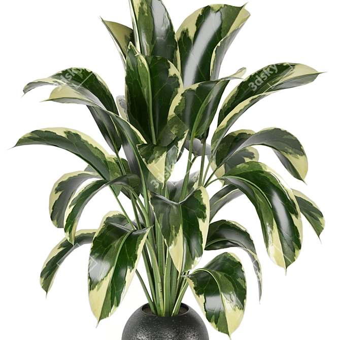 Lush Indoor Plants Set 126 3D model image 3