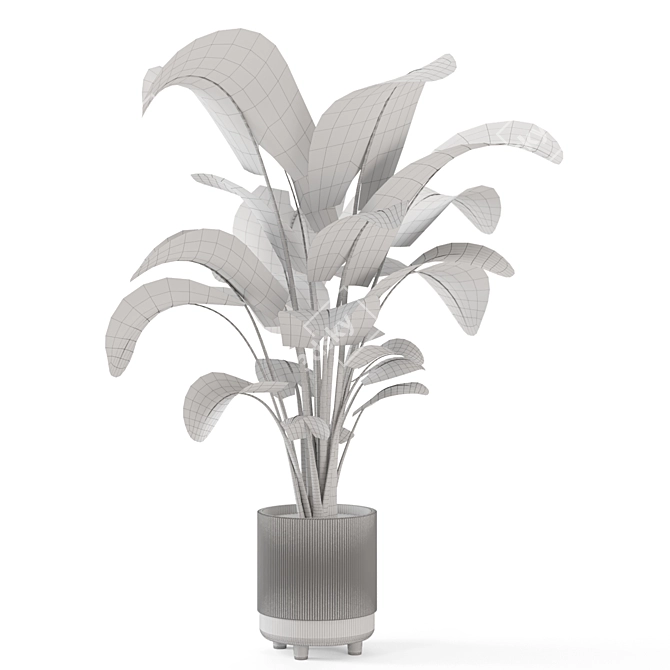 Rusty Concrete Pot Indoor Plants 3D model image 6