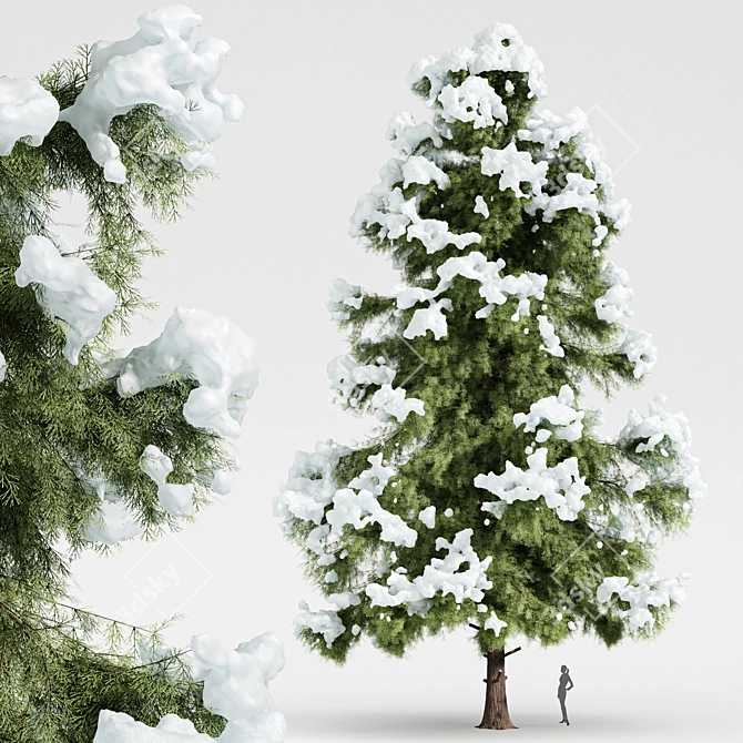 Arctic Breeze Cedar Winter Wonderland 3D model image 1