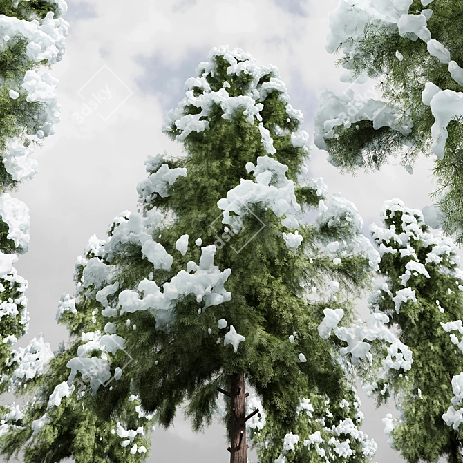 Arctic Breeze Cedar Winter Wonderland 3D model image 2