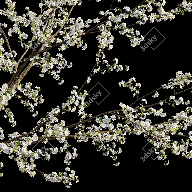 Plum Tree 3D Model Archive 3D model image 2