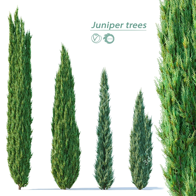 Evergreen Juniper Tree Quartet 3D model image 1