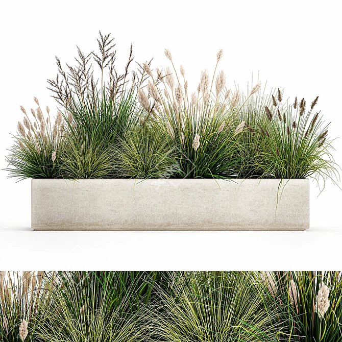 Tropical Plant Collection: Exotic Ornamental Grasses 3D model image 1