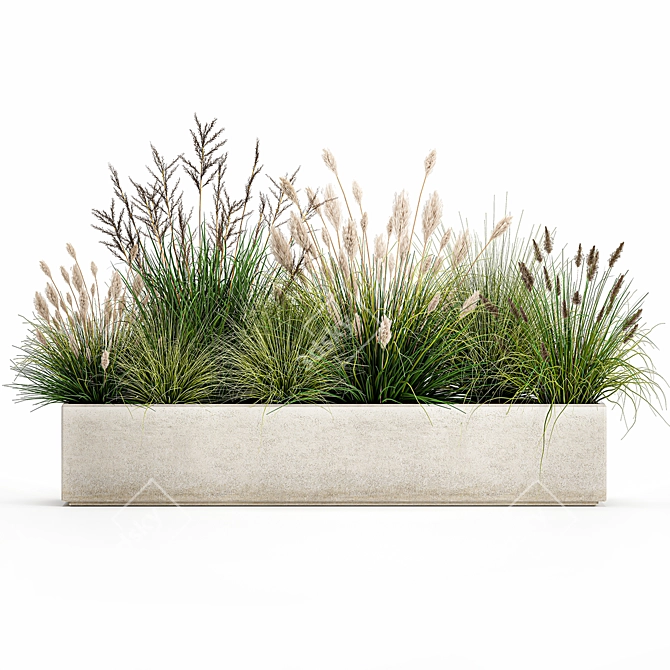 Tropical Plant Collection: Exotic Ornamental Grasses 3D model image 6