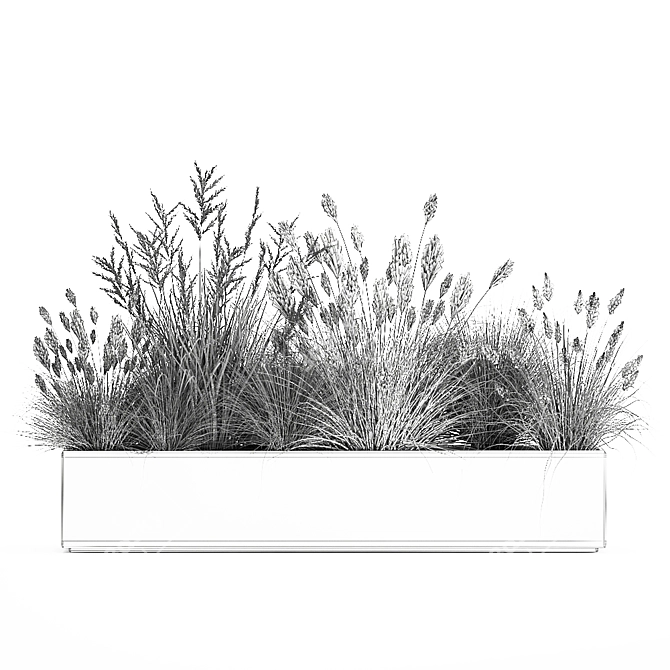 Tropical Plant Collection: Exotic Ornamental Grasses 3D model image 7