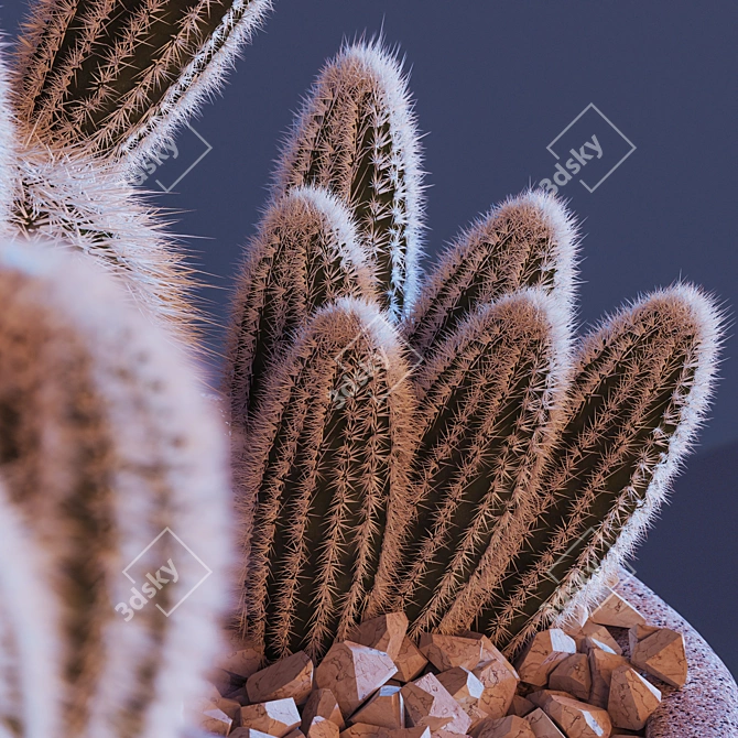 Sleek Cactus Sculpture 3D model image 10
