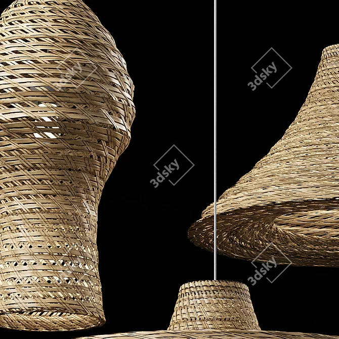 Rustic Rattan Pendant Lights Set 3D model image 6