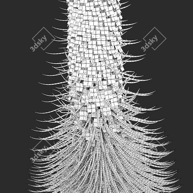 Tall Echium Wildpretii Quartet 3D model image 4