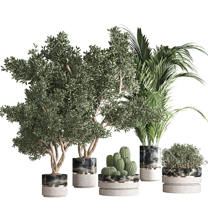 Green Oasis: Indoor Plant Set 3D model image 1