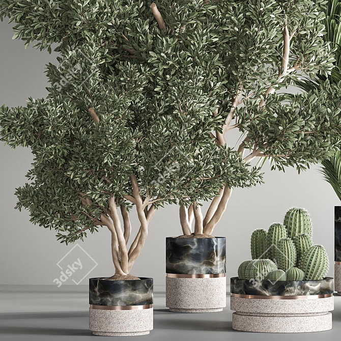 Green Oasis: Indoor Plant Set 3D model image 5