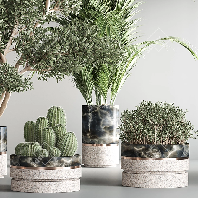 Green Oasis: Indoor Plant Set 3D model image 6