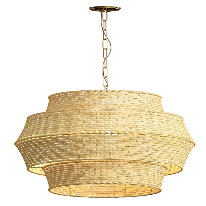 Elegant Paloma Rattan Pendant 3D model image 1