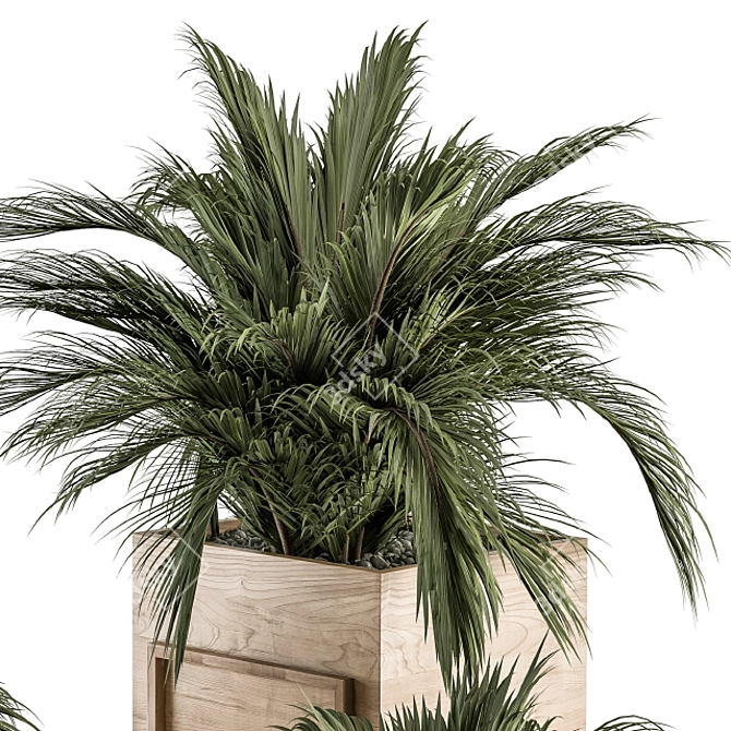 318 Indoor Plant Set in Wooden Box 3D model image 4