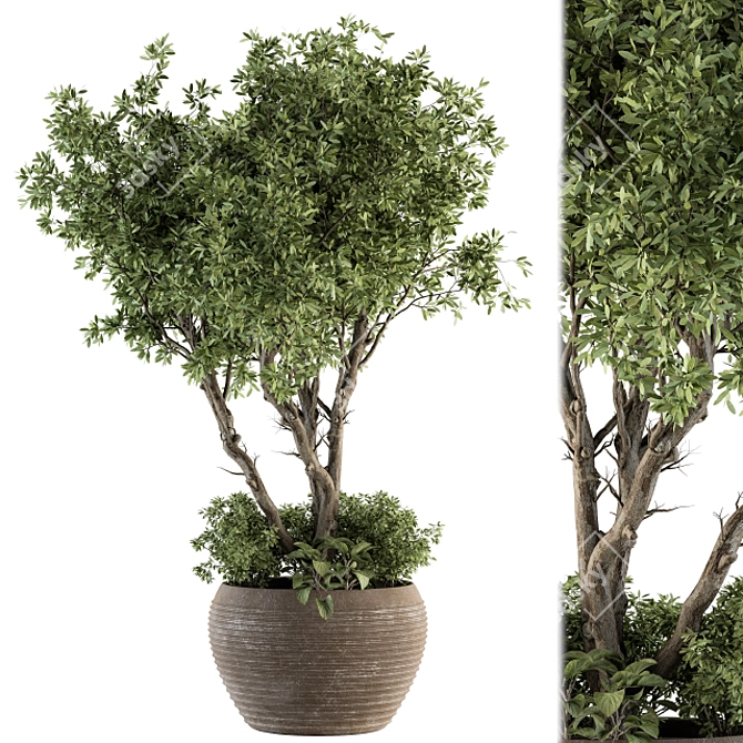 Lush Outdoor Plant Set 3D model image 1