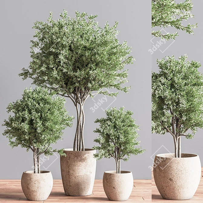 Indoor Greenery Deluxe Set 3D model image 3