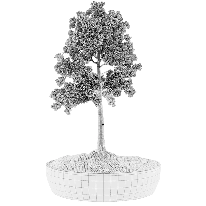 Miniature Bonsai Plant Kit 3D model image 3
