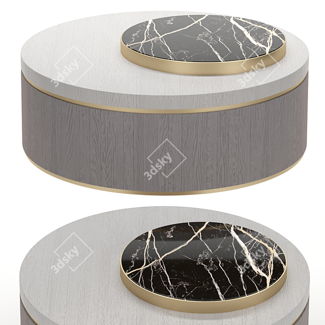 Modern Atlanta Coffee Table 3D model image 1