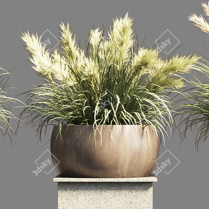 70 Pot Pampas Grass: Indoor/Outdoor Vase Stand 3D model image 3