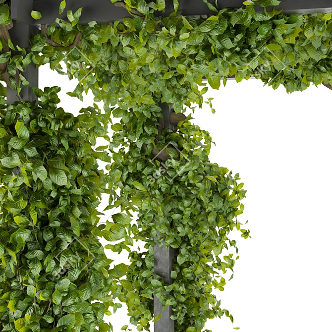 Vertical Fitowall Garden Plant Collection 3D model image 3