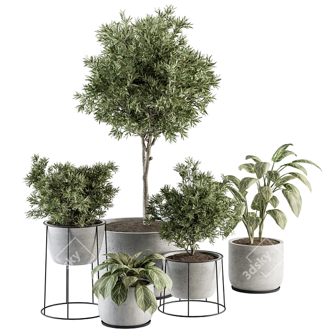 308 Indoor Plant Set: Tree & Plant in Black Pot 3D model image 1