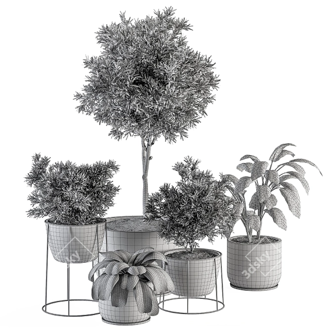 308 Indoor Plant Set: Tree & Plant in Black Pot 3D model image 5