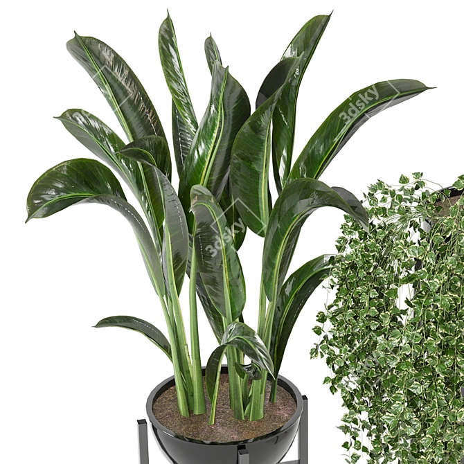 Modern Indoor Plants Set for Ferm Living Bau Pot 3D model image 2