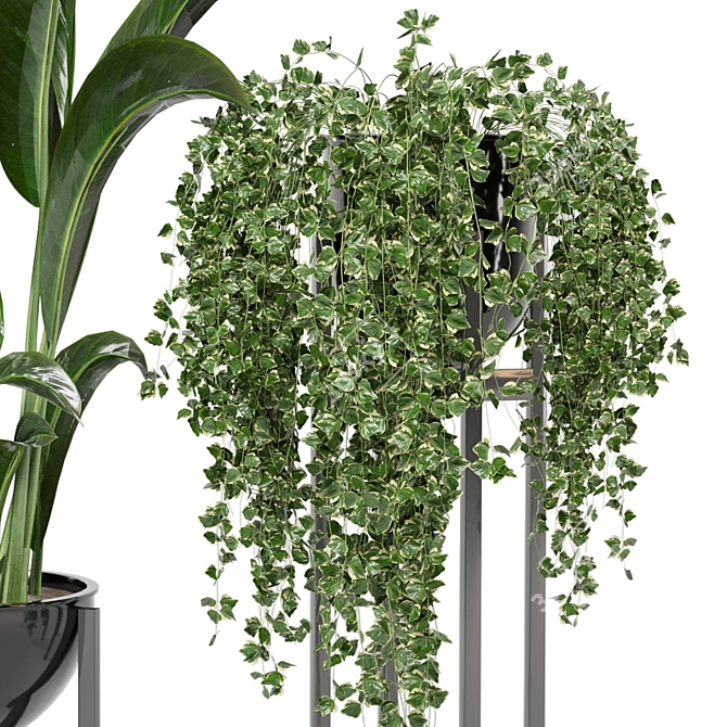 Modern Indoor Plants Set for Ferm Living Bau Pot 3D model image 3