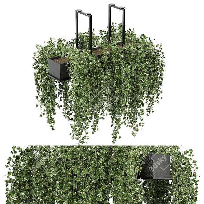 Metalbox Indoor Hanging Plants Set 3D model image 2