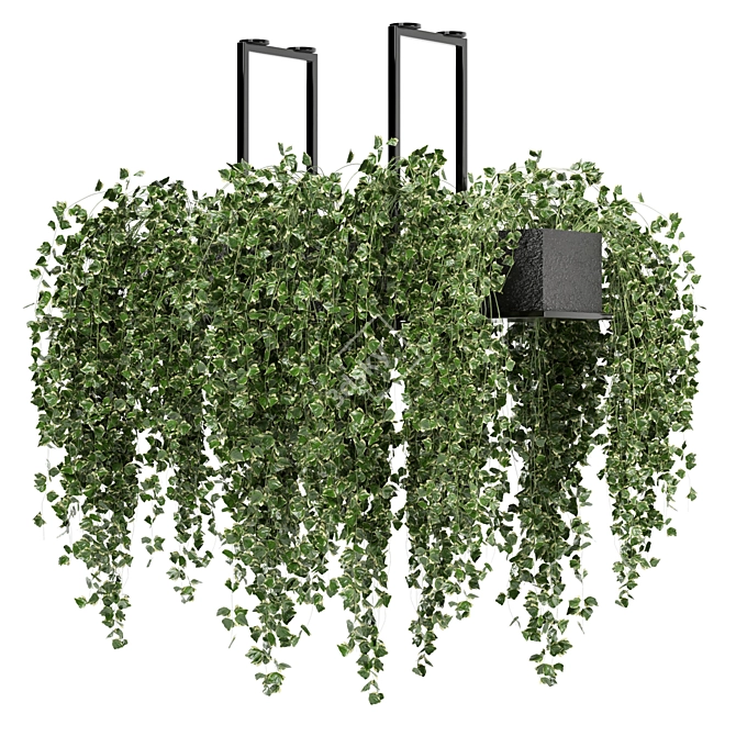 Metalbox Indoor Hanging Plants Set 3D model image 3