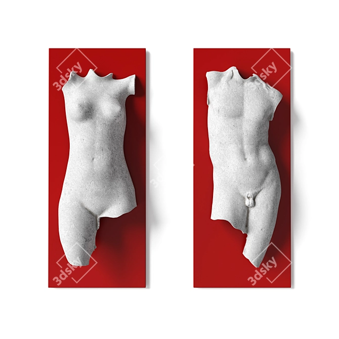 Dual Torso Wall Art Panel 3D model image 1