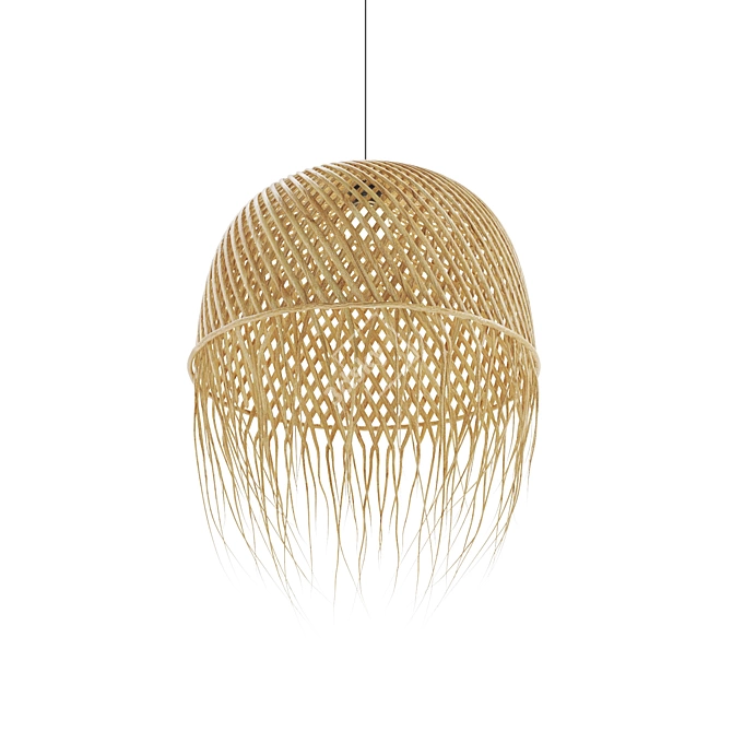 Handmade Rattan Pendant Lamp 3D model image 4