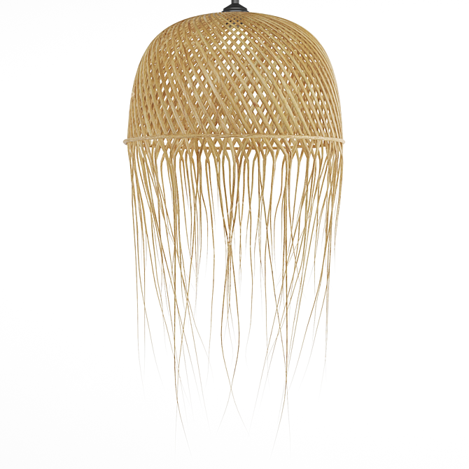 Handmade Rattan Pendant Lamp 3D model image 5