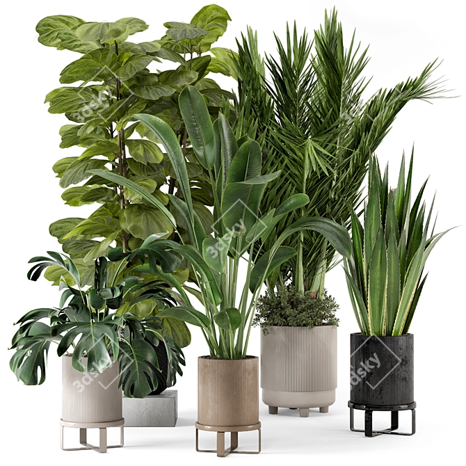 Ferm Living Bau Pot Large - Set 333: Stylish Indoor Plants 3D model image 1