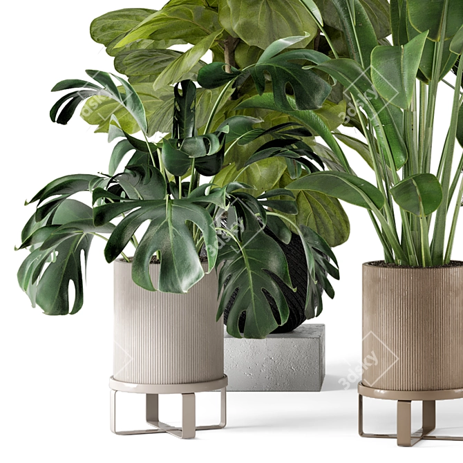 Ferm Living Bau Pot Large - Set 333: Stylish Indoor Plants 3D model image 2