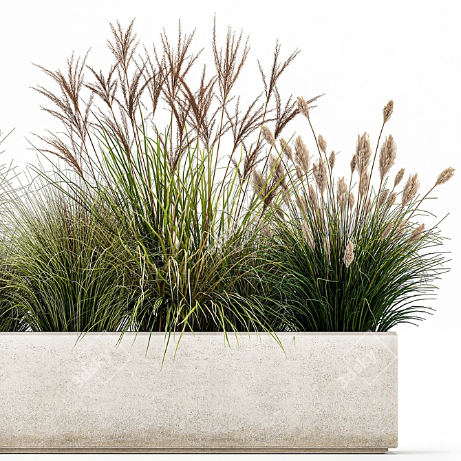 Exotic Greenery: Plants for Indoor/Outdoor Decoration 3D model image 3