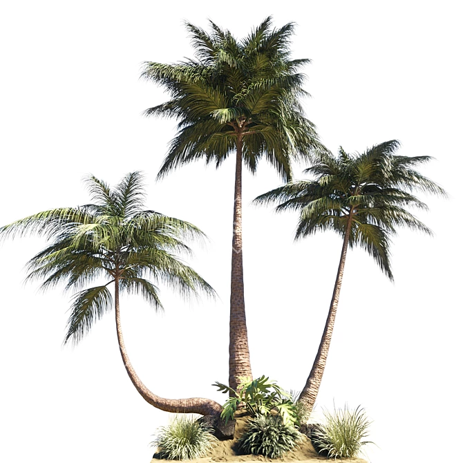 Coastal Palm Garden: Resort Paradise 3D model image 1