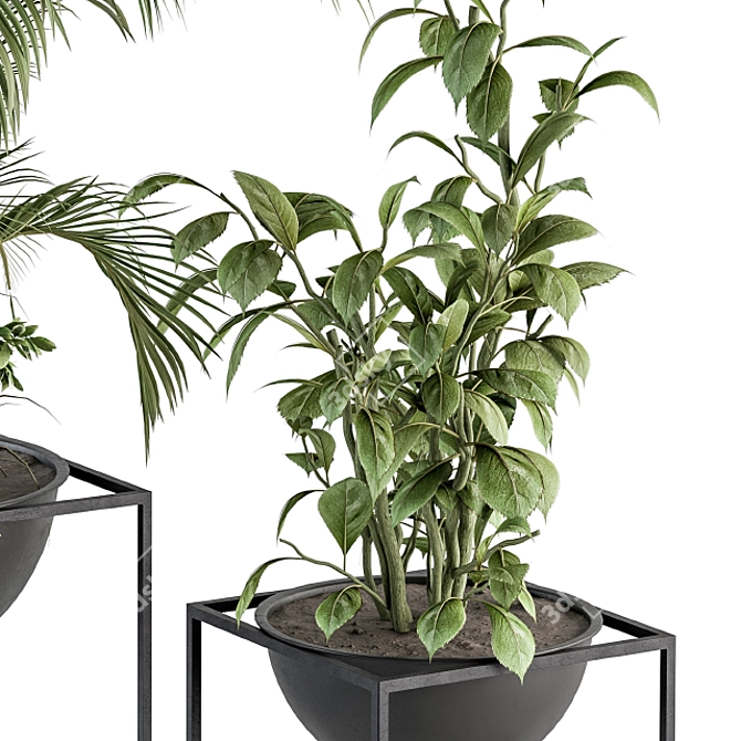 Sleek Greenery: Indoor Plant Set 3D model image 2