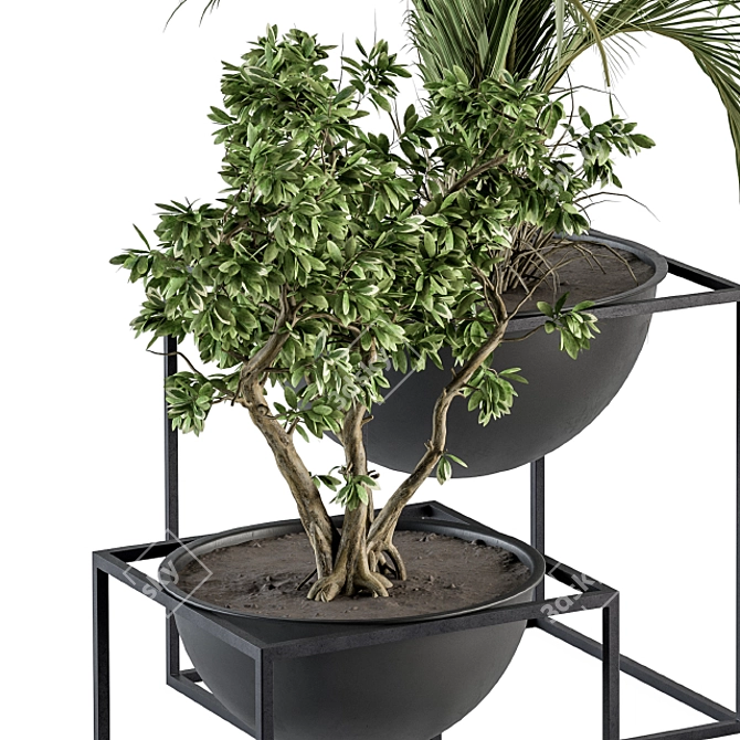 Sleek Greenery: Indoor Plant Set 3D model image 3