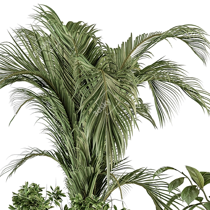 Sleek Greenery: Indoor Plant Set 3D model image 4