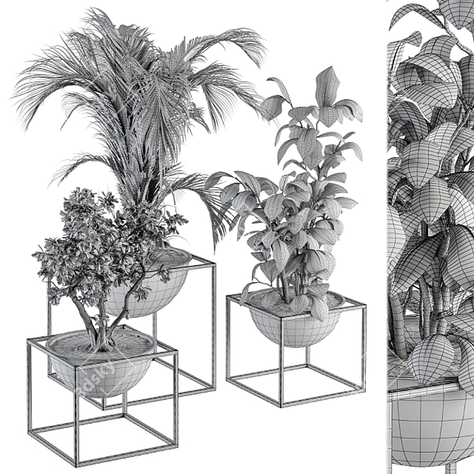 Sleek Greenery: Indoor Plant Set 3D model image 5