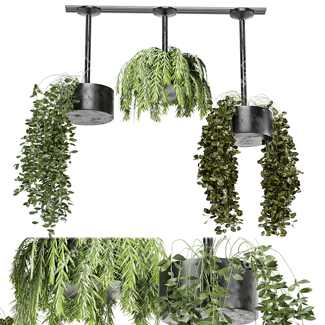 Metal Box Hanging Plants Set 3D model image 2