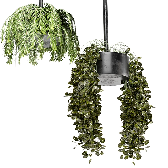 Metal Box Hanging Plants Set 3D model image 4