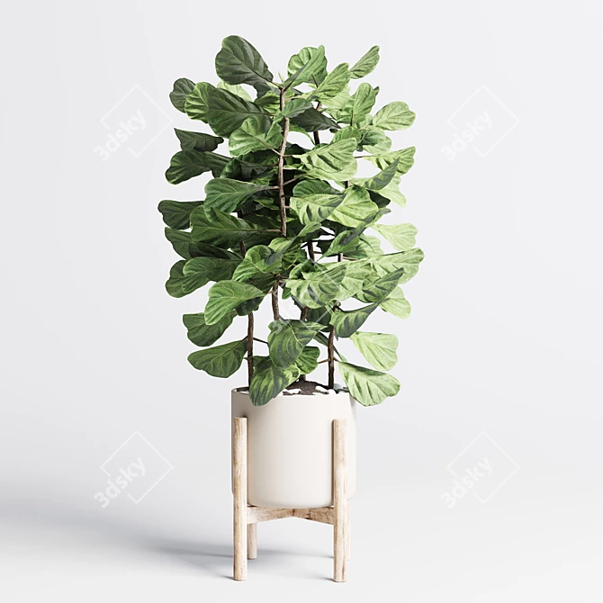 Exquisite Indoor Plant Collection with 155-Pot Palm, Ravenala, Ficus, and Rubber-lyrata in Wooden Vase 3D model image 4