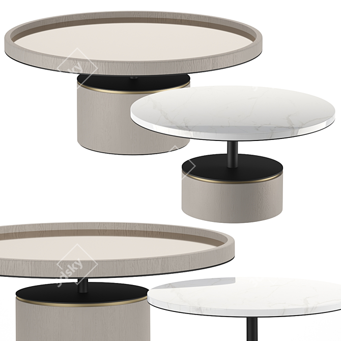 Elegant Paros Coffee Tables 3D model image 1