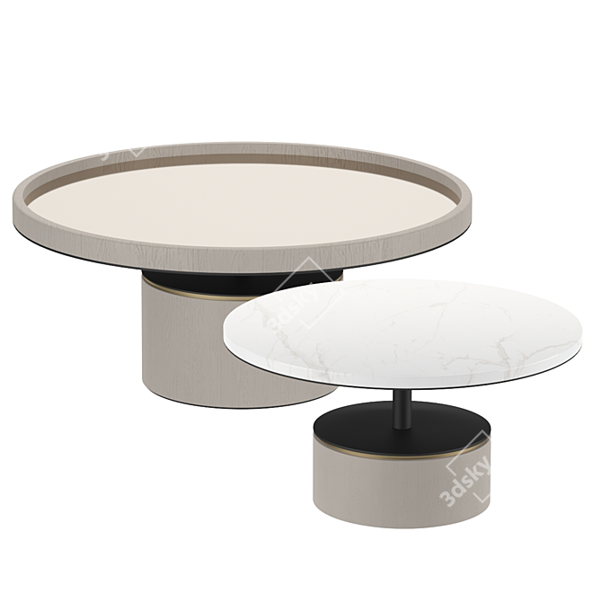 Elegant Paros Coffee Tables 3D model image 2