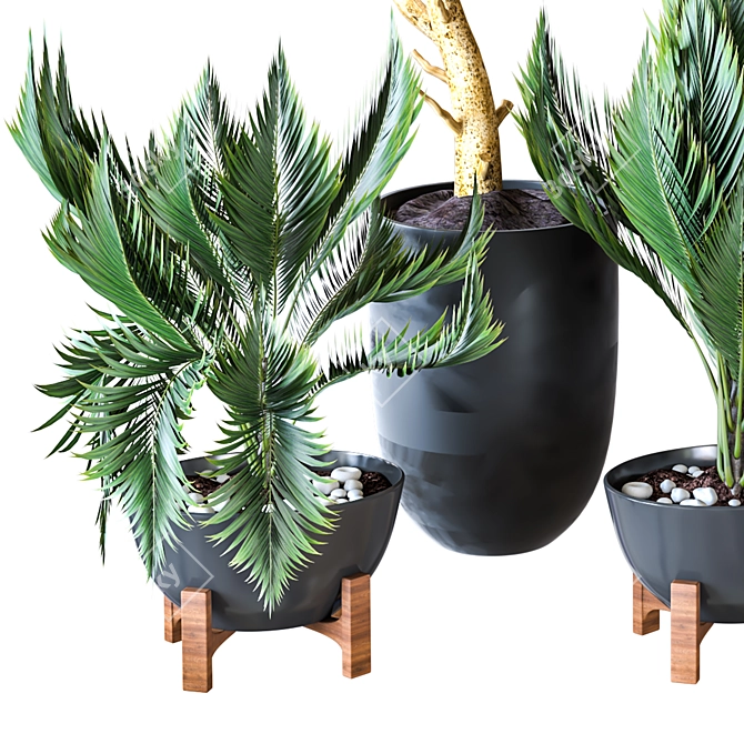 Indoor Greenery: Vol. 21 3D model image 2