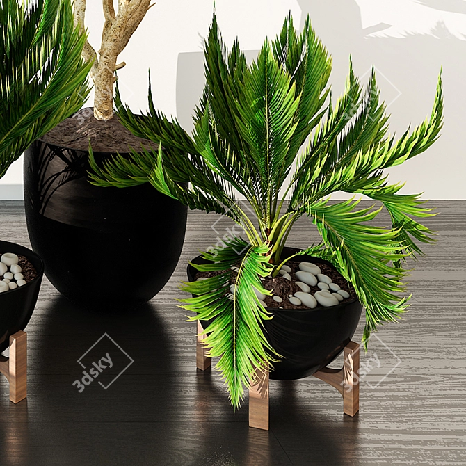 Indoor Greenery: Vol. 21 3D model image 8